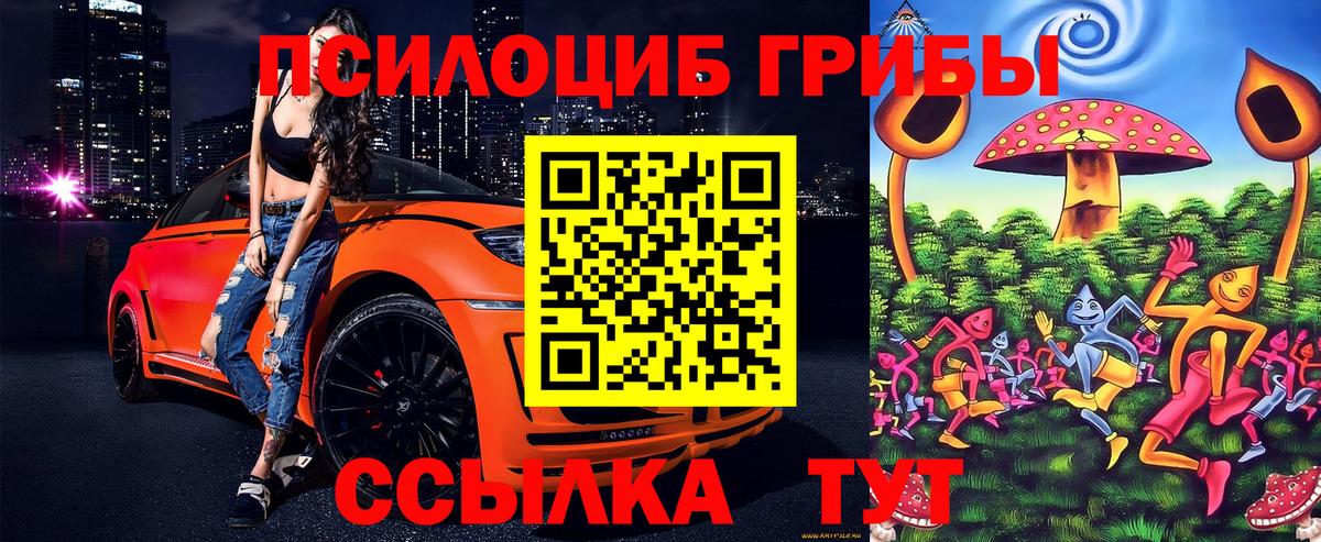 Старый Оскол  Псилоцибиновые грибы мухоморы  Вход с VPN  Псилоцибиновые грибы мухоморы 