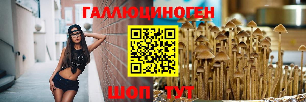 Псилоцибиновые грибы Magic Shrooms Старый Оскол
